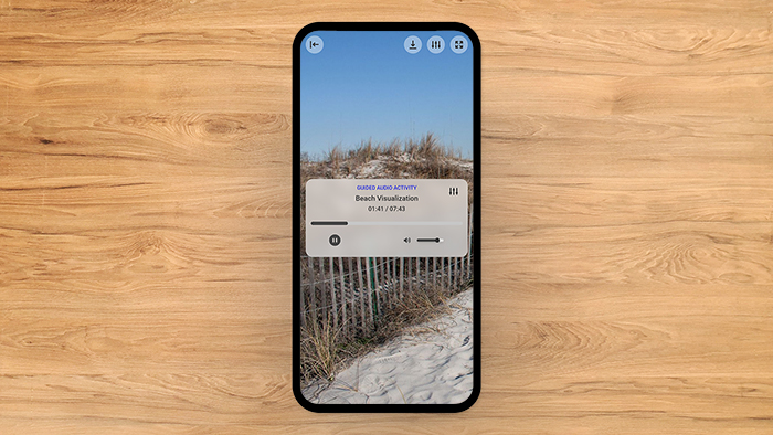 Beach Visualization Tool Preview 1