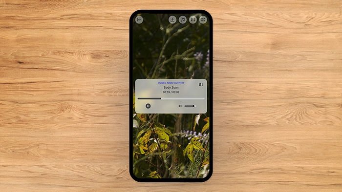Body Scan Tool Preview 1