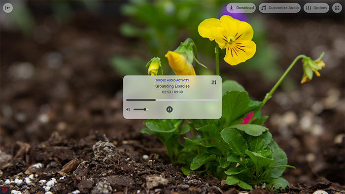 Grounding Exercise Tool Preview 1
