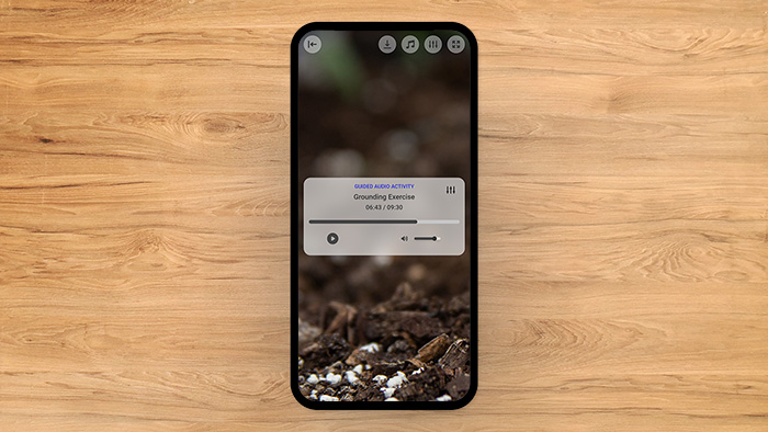 Grounding Exercise Tool Preview 2