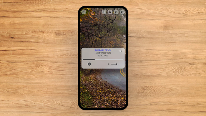 Mindfulness Walk Tool Preview 2