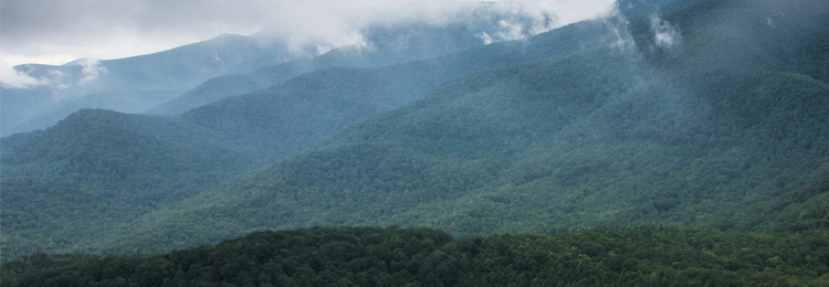 Mountain Visualization