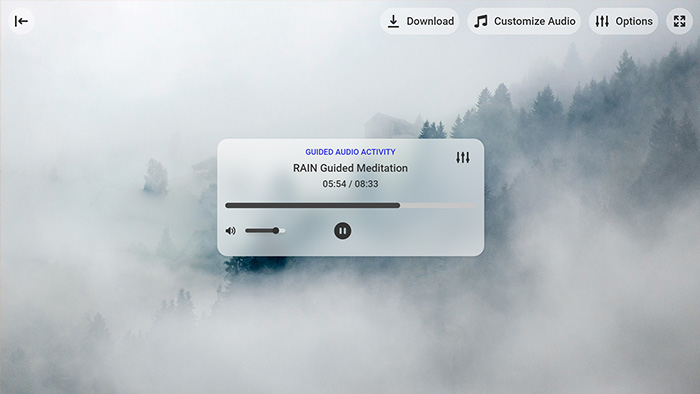 RAIN Guided Meditation Tool Preview 1