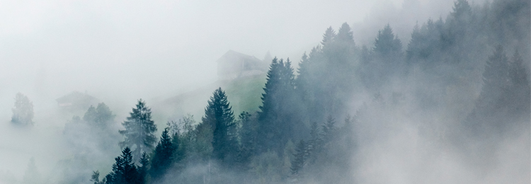 RAIN Guided Meditation