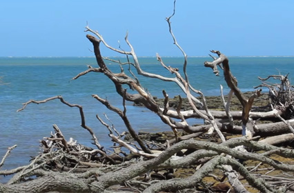 Deep Breathing Exercise