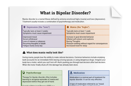 Bipolar Disorder Info Sheet
